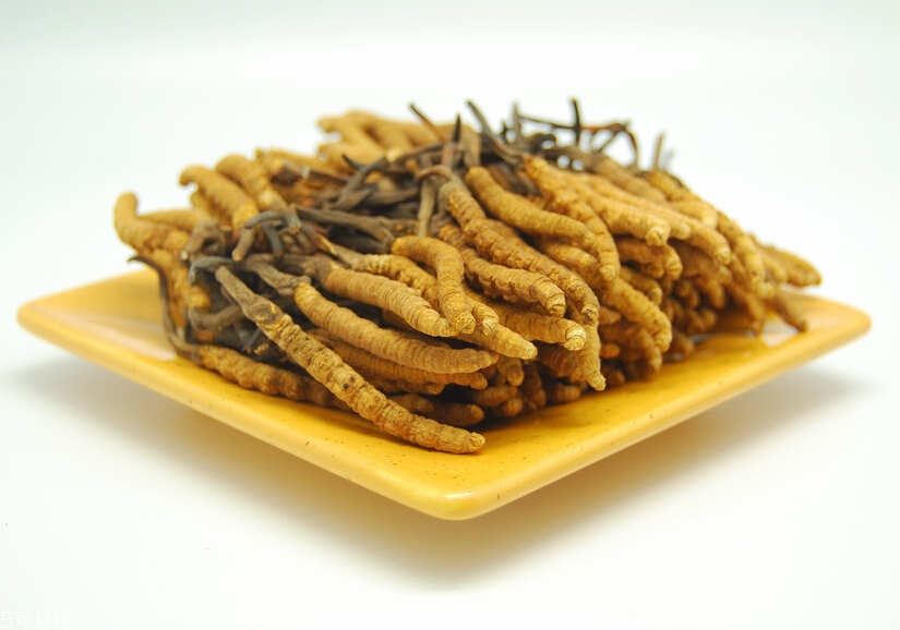 吃冬蟲夏草的好處有哪些？四大好處任你選