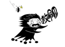 蟑螂究竟有多臟？傳播蛔蟲卵等多種病菌