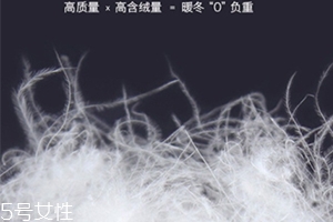 lets diet羽絨褲多少錢？lets diet羽絨褲保暖又修身