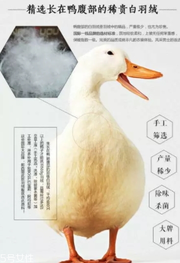 lets diet羽絨褲多少錢？lets diet羽絨褲保暖又修身