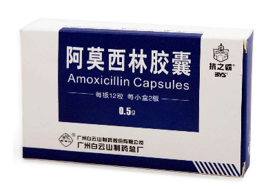 阿莫西林可以和牛奶一起吃嗎？牛奶和阿莫西林不沖突