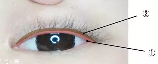 內(nèi)眼線一定要畫嗎？畫好睫毛根部