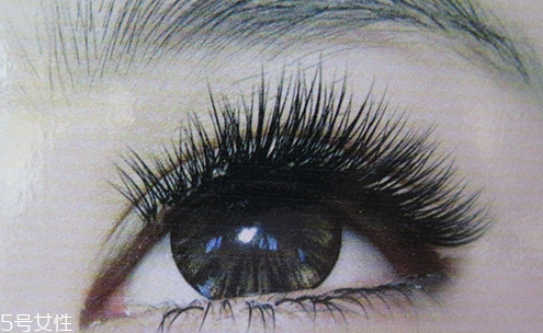 種睫毛多少錢？種睫毛的保持時(shí)間