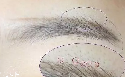 自然不做作的毛流眉怎么畫(huà)？紋理清晰有弧度