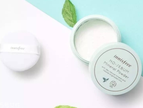 紀(jì)梵希散粉和悅詩風(fēng)吟散粉哪個好？