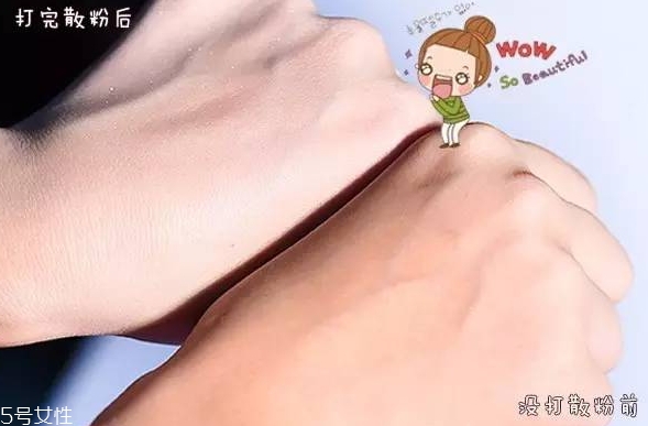 紀(jì)梵希散粉和悅詩風(fēng)吟散粉哪個好？