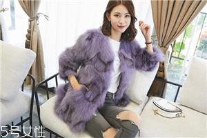 皮草的毛亂了怎么辦？巧用吹風(fēng)機(jī)輕松解決