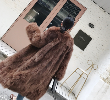 皮草和貂的區(qū)別是什么？貂是皮草的一種