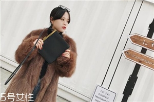 皮草和貂的區(qū)別是什么？貂是皮草的一種