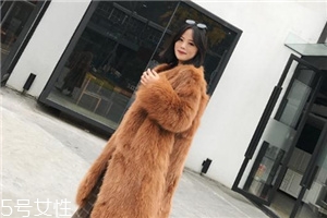 皮草和貂哪個貴？它們的價值你清楚嗎