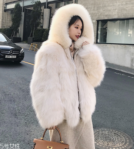 皮草為什么不能水洗？洗完后悔就來不及了