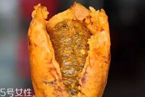 牛卵坨籽可以吃嗎？看看它的神奇功效