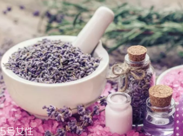 哪些精油不能喝？冬青精油涂抹最好