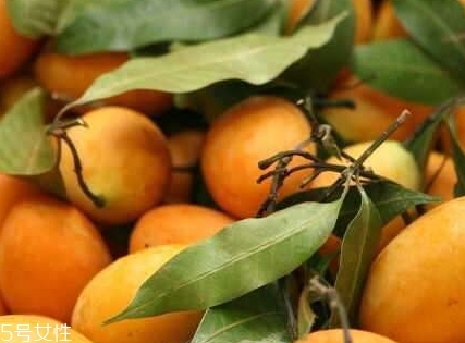 枇杷芒怎么吃？枇杷芒的皮可以吃