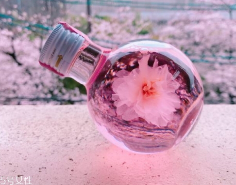 奈良金箔櫻花酒多少錢？奈良櫻花酒好喝嗎