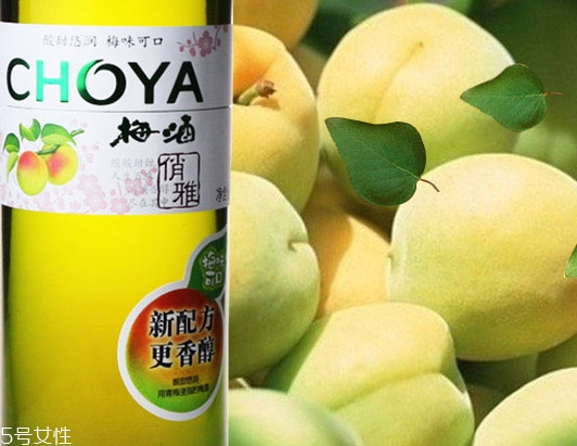 choya梅酒多少錢？多少度？