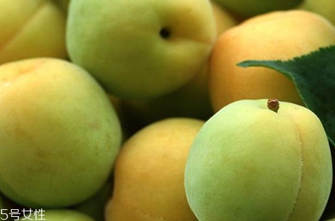 choya梅酒多少錢？多少度？