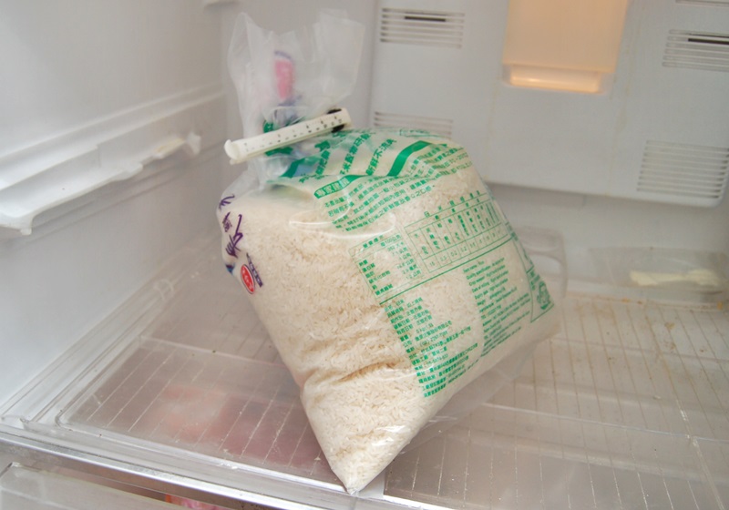 怎么預(yù)防米蟲(chóng) 必學(xué)的防米蟲(chóng)4招