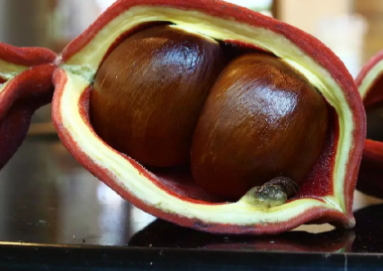 鳳眼果多少錢一斤？觀賞和口感兼具的鳳眼果