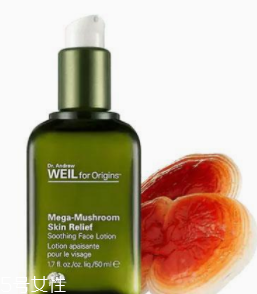 油皮用什么精華好？清爽補(bǔ)水一個(gè)都不能少