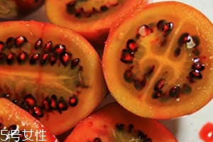 樹番茄多少錢一斤？