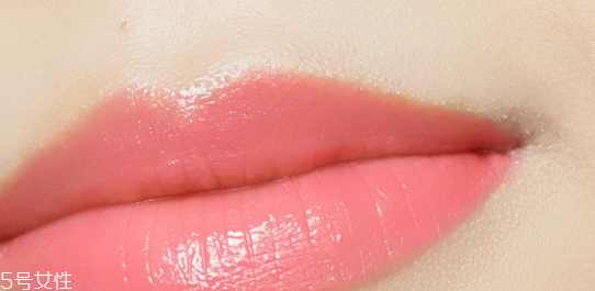 嬌蘭325和344哪個好看？直男最愛