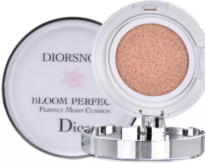 雅詩蘭黛和dior迪奧氣墊哪個好？