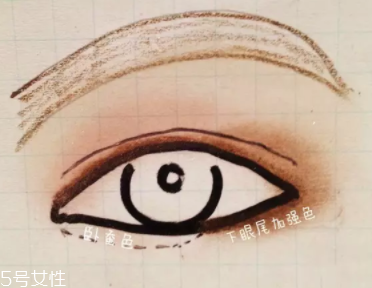 大地色眼影怎么配色？用好大地色百搭又時尚