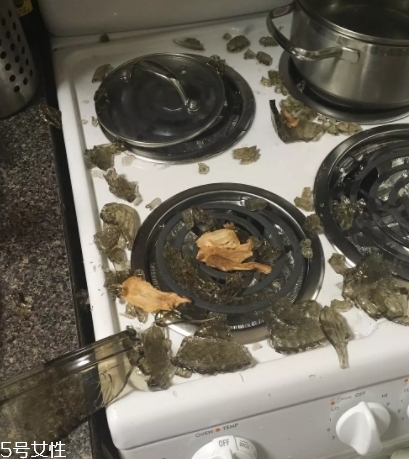 康寧鍋會爆炸嗎？請小心使用