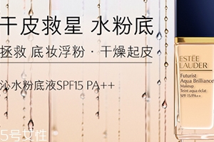 雅詩蘭黛粉底液和氣墊哪個好？