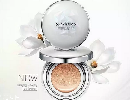 雪花秀氣墊適合干皮嗎？韓國氣墊界的冠軍