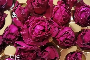 墨紅玫瑰可以天天喝嗎？玫瑰養(yǎng)顏也要適量