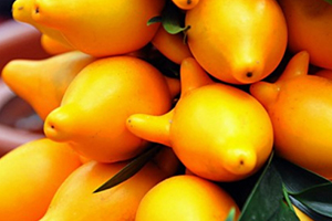 黃金果怎么吃？黃金果能吃嗎？