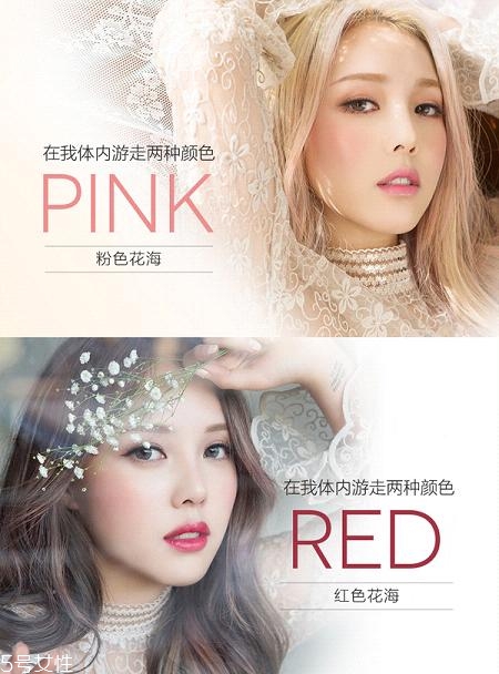 pony化妝品怎么樣？韓國彩妝大神級