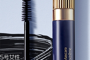 雅詩蘭黛睫毛膏有幾款？哪款好用？