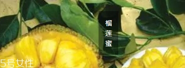 榴蓮蜜哪里能吃？哪里不能吃