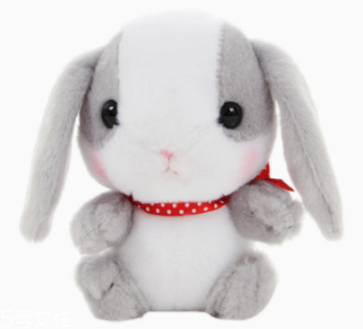 AMUSE玩偶是哪個國家的牌子？東京御宅族文化商品