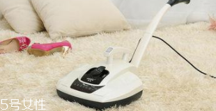 除螨儀有用嗎？洗衣粉能去除螨蟲