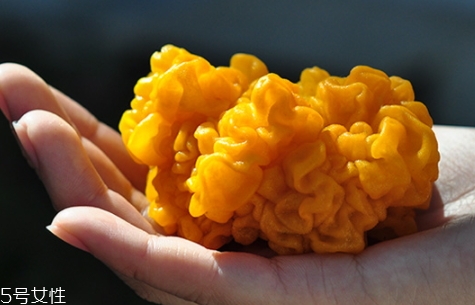 孕婦可以吃金耳嗎？哪些人不適合吃金耳