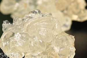 雪燕怎么清洗？雪燕怎么挑雜質(zhì)