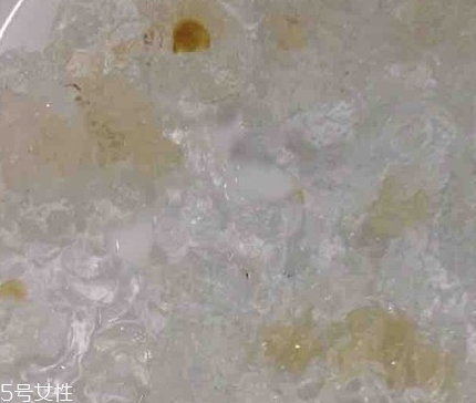 雪燕和桃膠能一起燉嗎？
