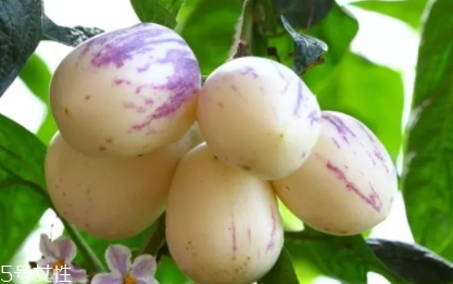 香瓜茄孕婦可以吃嗎？香瓜茄功效多