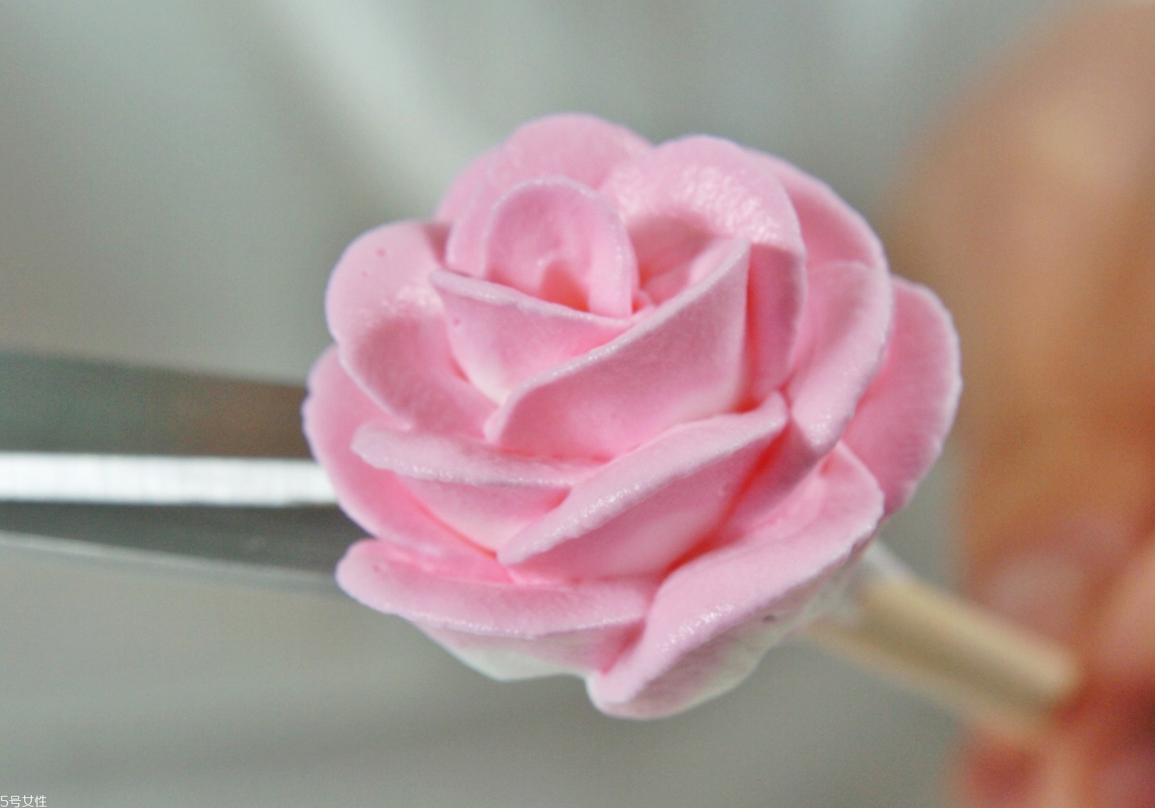 奶油怎么擠花 奶油擠花教程圖解 奶油怎么擠花 奶油擠花教程圖解