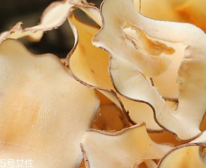 海底椰怎么吃？海底椰的做法