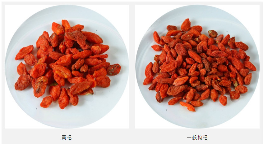 枸杞越大越好嗎 這樣挑選不會錯