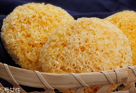 丑耳多少錢一斤？比銀耳更加珍貴