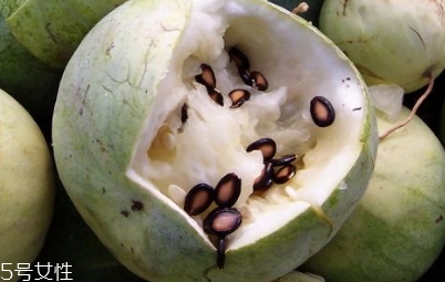 打瓜可以直接吃嗎？打瓜的功效作用