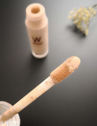 wlab粉底液好用嗎？全方位實測wlab粉底液效果