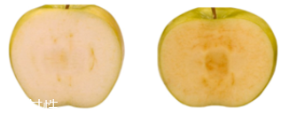 lacabine安瓶什么功效？深度測(cè)評(píng)抗氧化效果