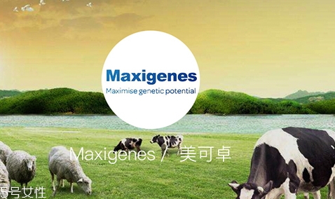 藍(lán)胖子奶粉和德運(yùn)奶粉哪個(gè)好？